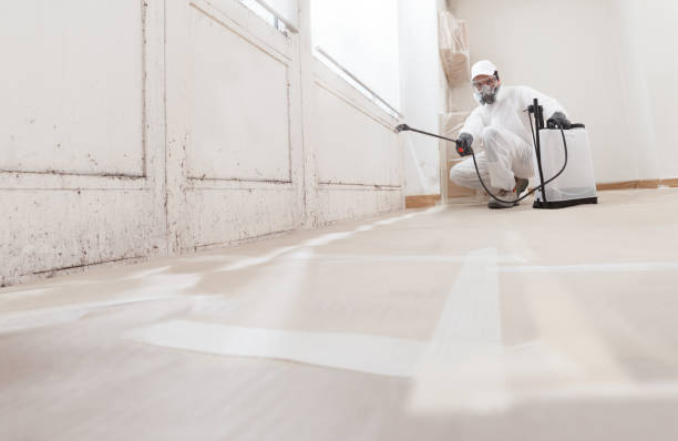 24/7 Emergency Mold Remediation experts in Darien, IL