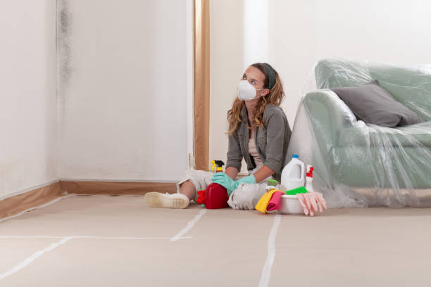 Reliable Mold Remediation contractor in Darien, IL by Mold Remediation HQ